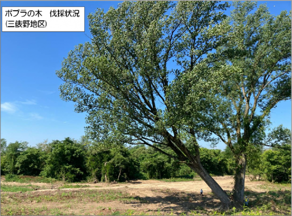 長岡地区河道掘削その１２工事 写真
